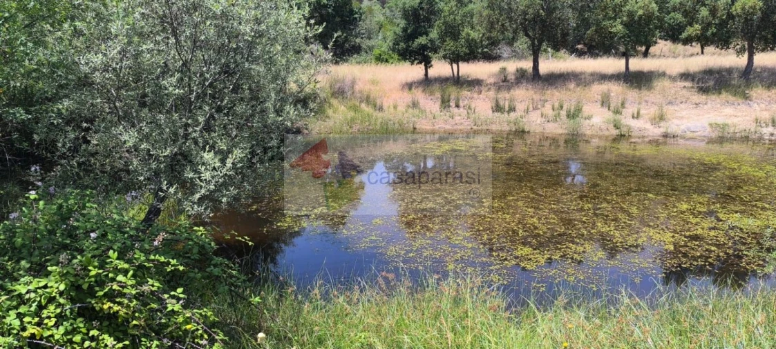 Terreno para Venda em Cunheira Foto 2