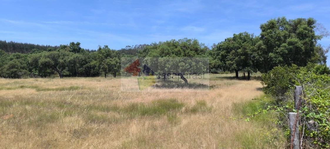 Terreno para Venda em Cunheira Foto 13