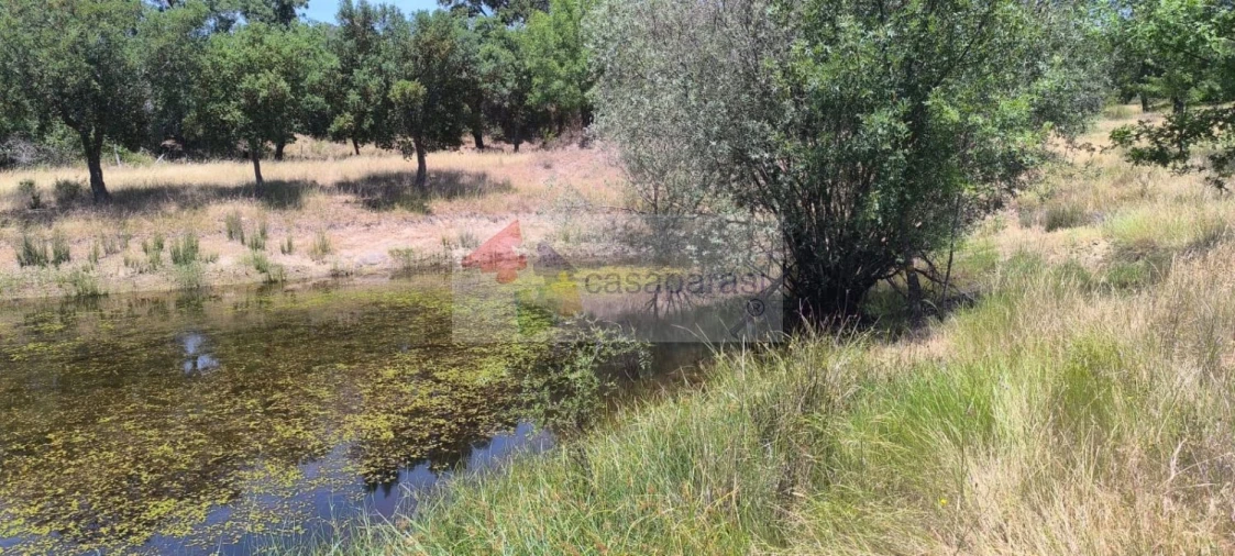 Terreno para Venda em Cunheira Foto 21
