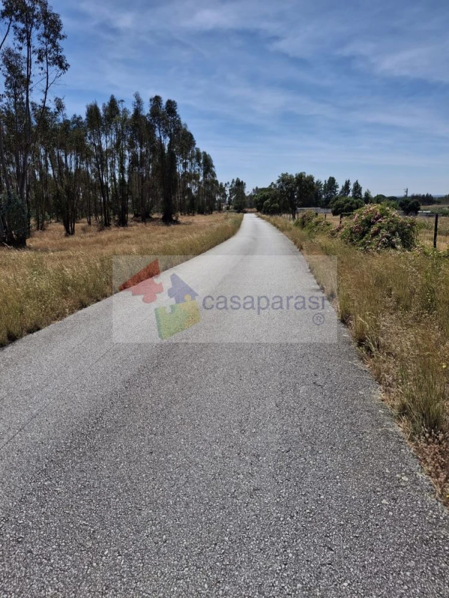Terreno para Venda em Cunheira Foto 6