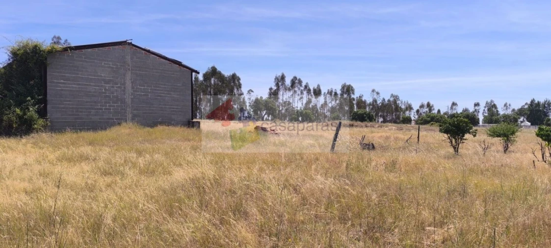 Terreno para Venda em Cunheira Foto 23