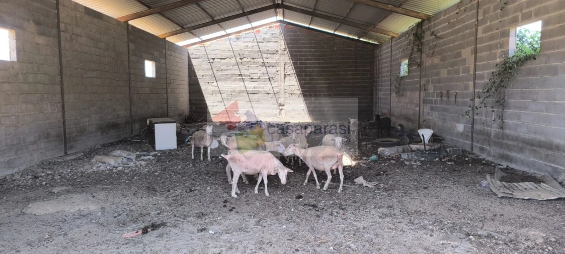 Terreno para Venda em Cunheira Foto 18