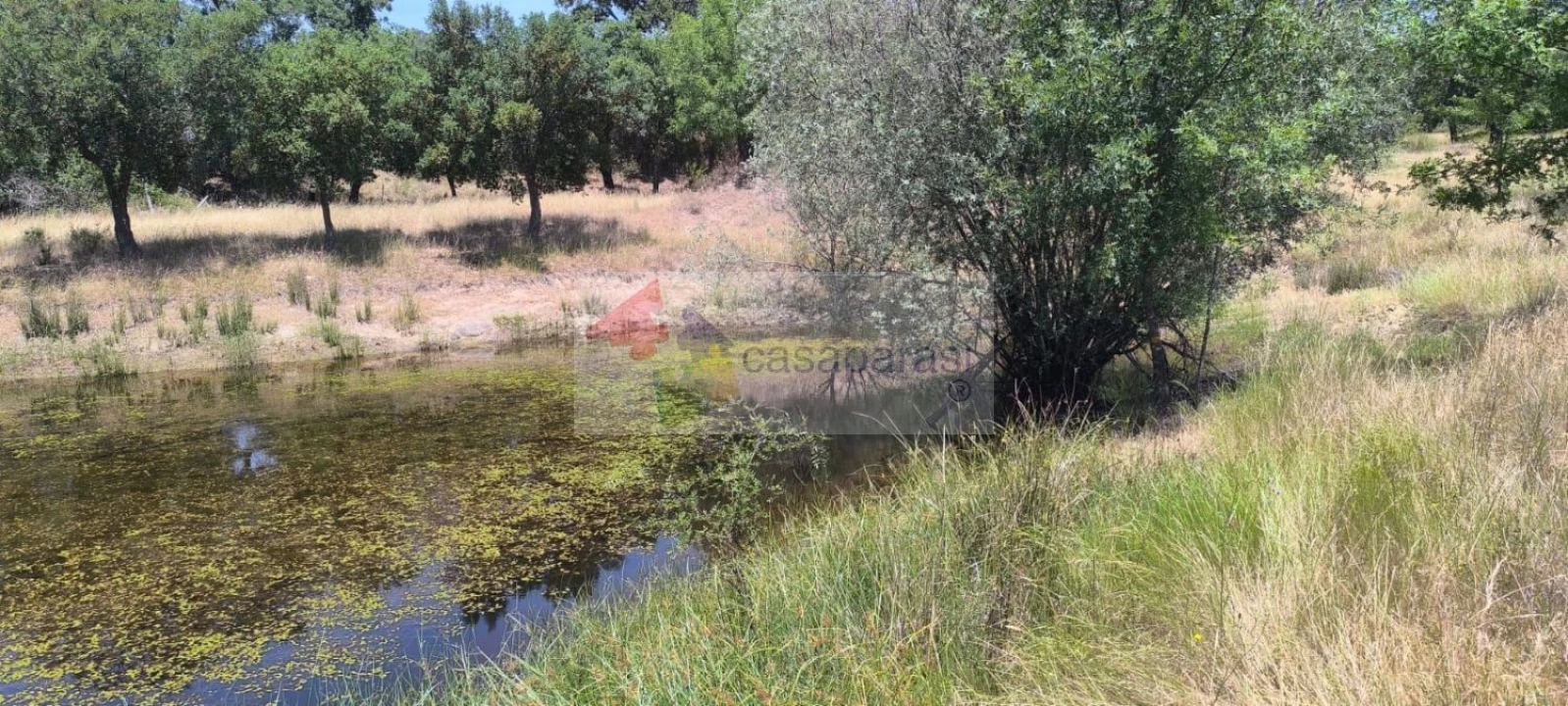 Terreno para Venda em Cunheira Foto 21