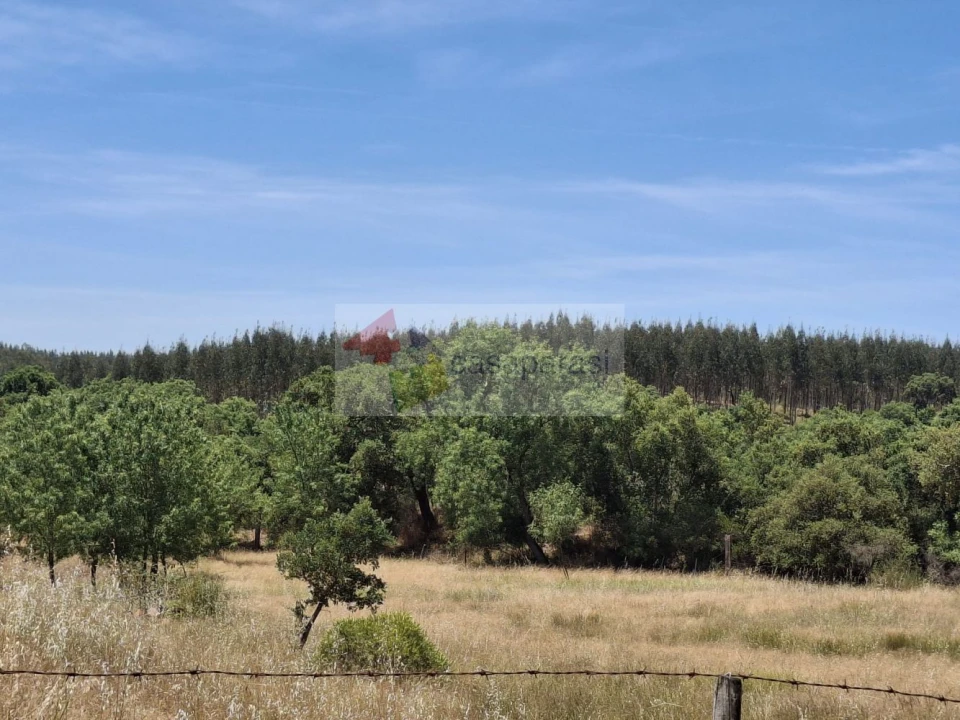 Terreno para Venda em Cunheira Foto 3