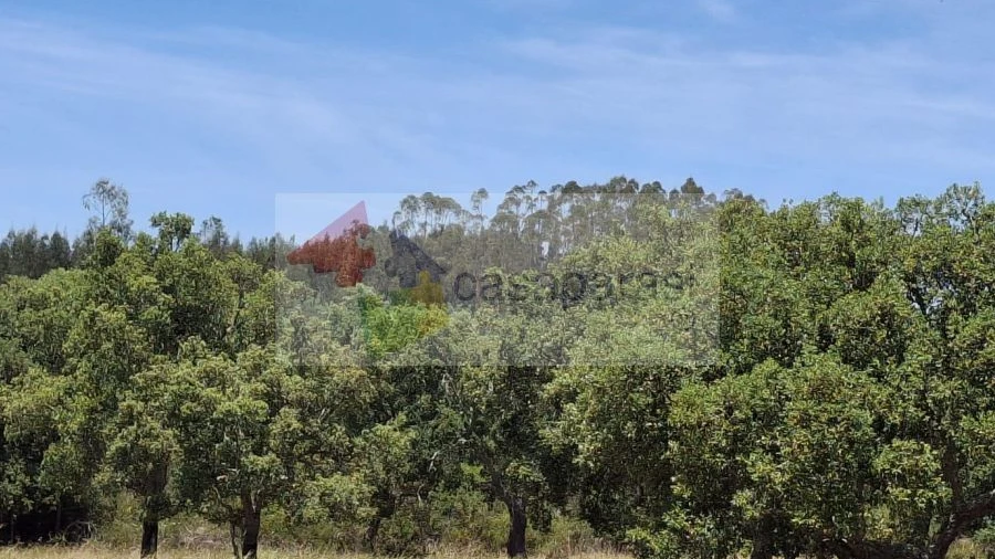 Terreno para Venda em Cunheira