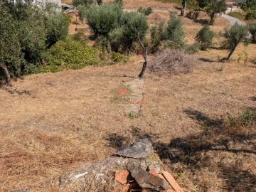 Moradia T3 para Venda em Vila de Rei