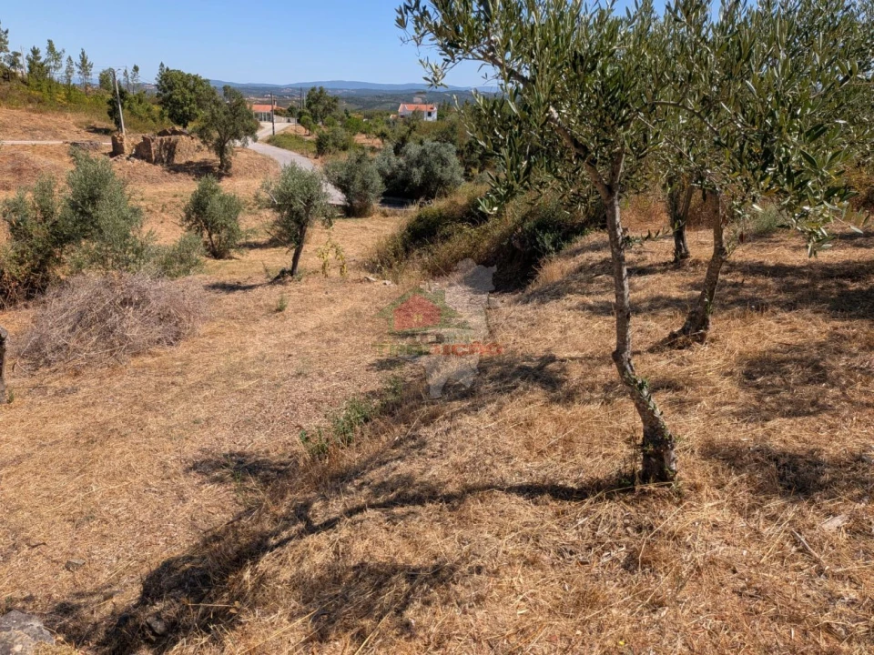 Moradia T3 para Venda em Vila de Rei Foto 34