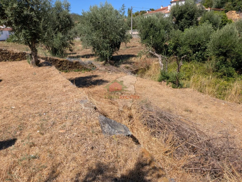 Moradia T3 para Venda em Vila de Rei Foto 32
