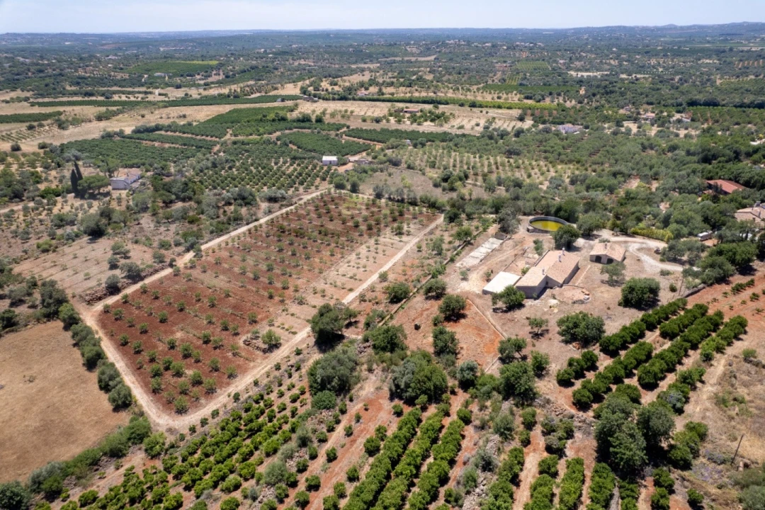 Quinta T5 para Venda em São Bartolomeu de Messines Foto 6