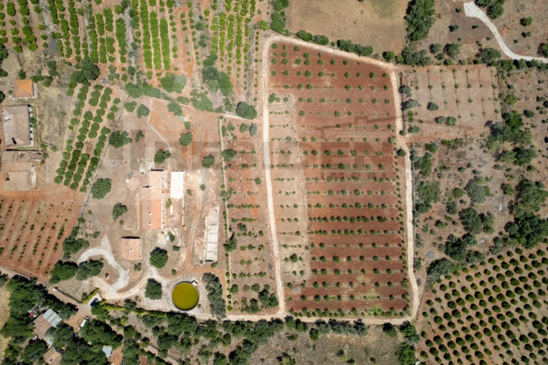 Quinta T5 para Venda em São Bartolomeu de Messines Foto 10