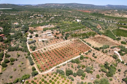 Quinta T5 para Venda em São Bartolomeu de Messines