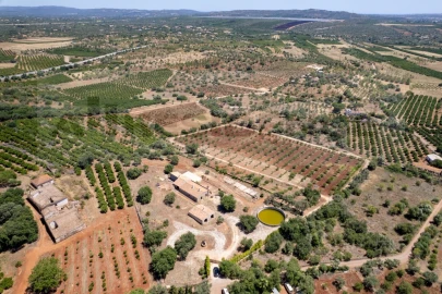 Quinta T5 para Venda em São Bartolomeu de Messines