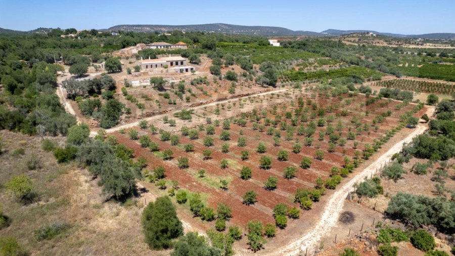 Quinta T5 para Venda em São Bartolomeu de Messines