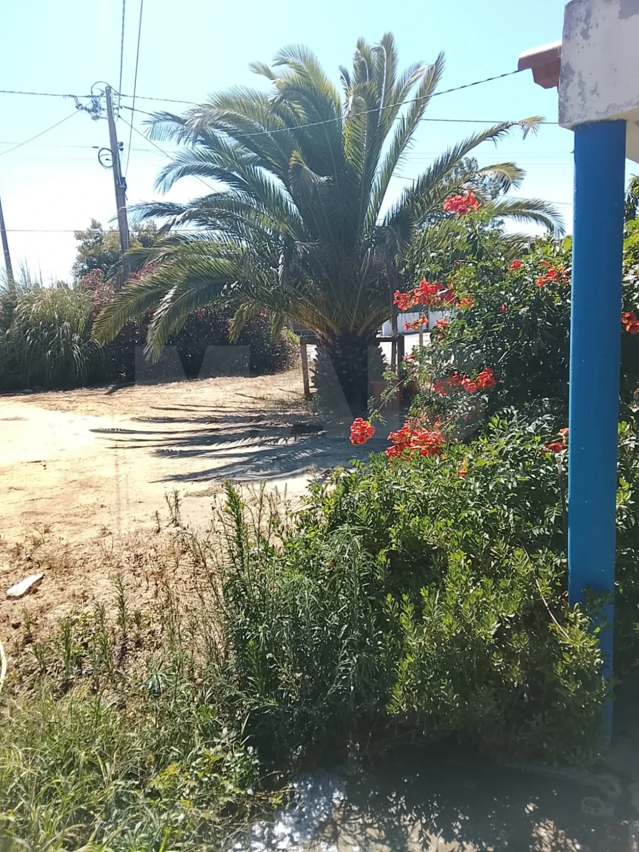 Moradia T2 para Arrendamento em Vila Nova de Milfontes Foto 3