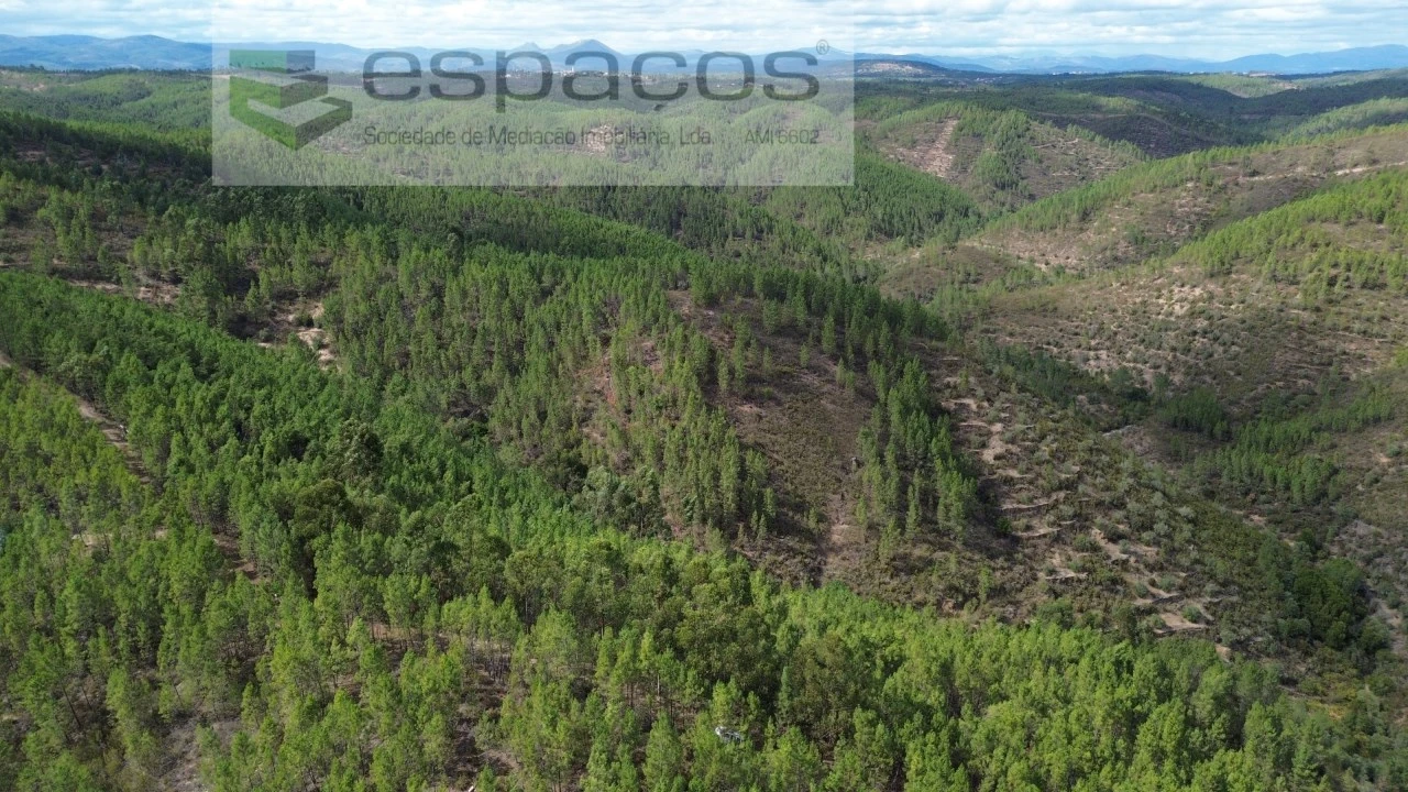 Terreno Agricola ou Rústico para Venda em Santo Andre das Tojeiras Foto 2