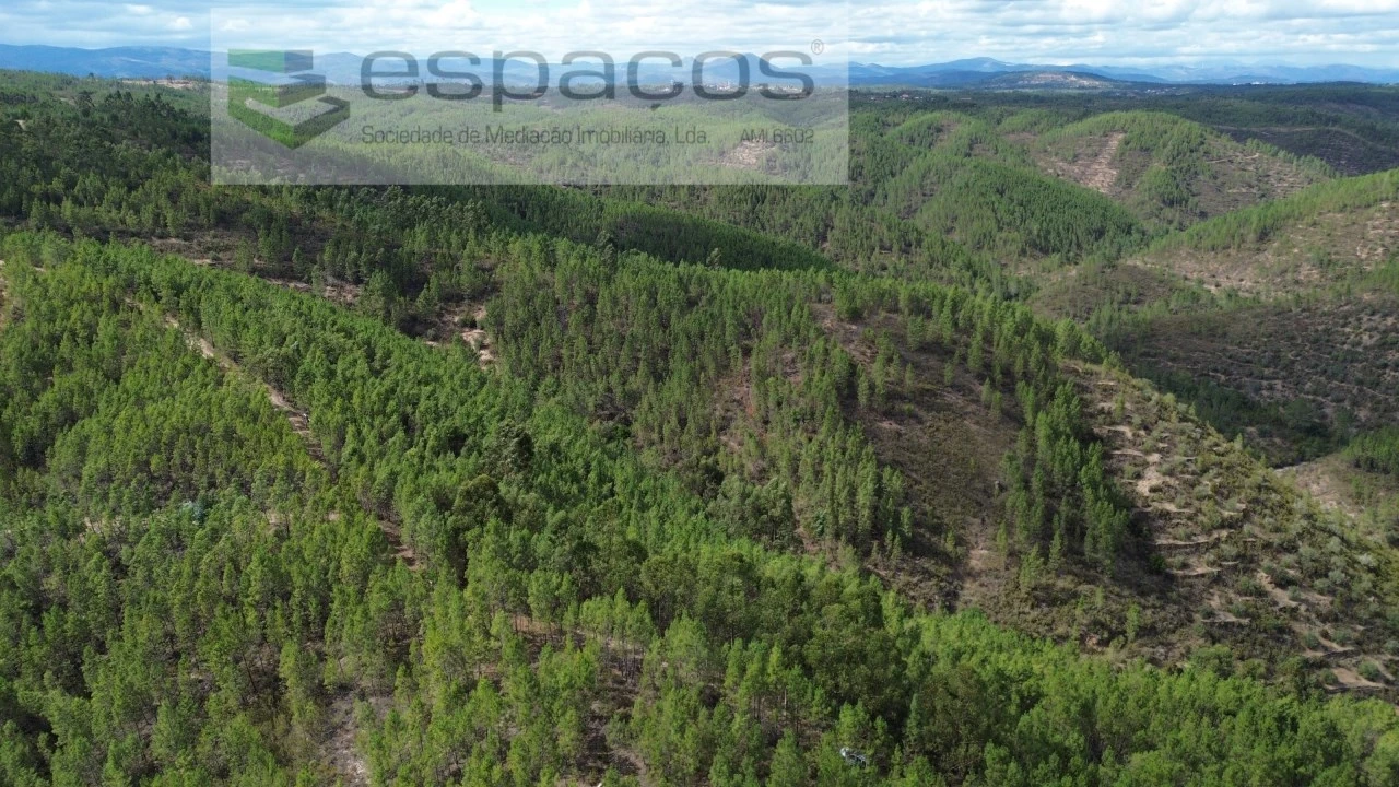 Terreno Agricola ou Rústico para Venda em Santo Andre das Tojeiras Foto 4