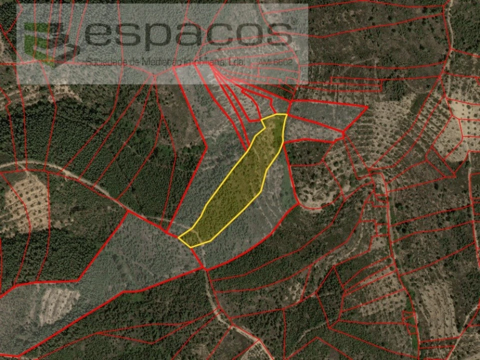 Terreno Agricola ou Rústico para Venda em Santo Andre das Tojeiras Foto 8