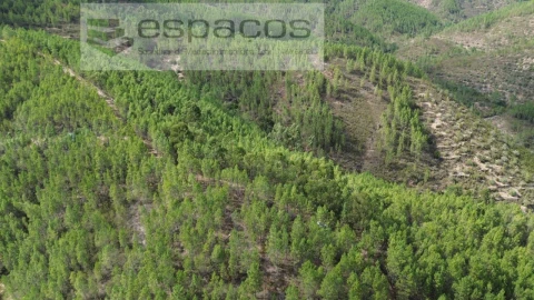 Terreno Agricola ou Rústico para Venda em Santo Andre das Tojeiras