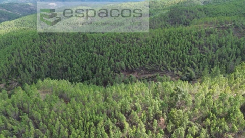 Terreno Agricola ou Rústico para Venda em Santo Andre das Tojeiras