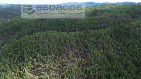 Terreno Agricola ou Rústico para Venda em Santo Andre das Tojeiras