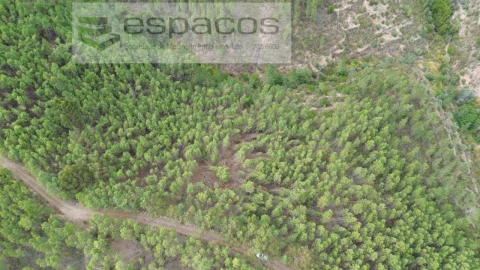 Terreno Agricola ou Rústico para Venda em Santo Andre das Tojeiras