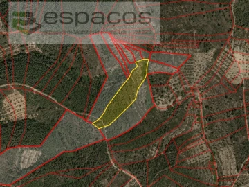 Terreno Agricola ou Rústico para Venda em Santo Andre das Tojeiras