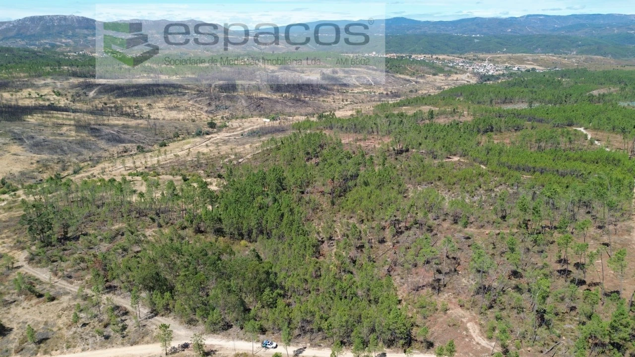 Terreno Agricola ou Rústico para Venda em Santo Andre das Tojeiras Foto 1