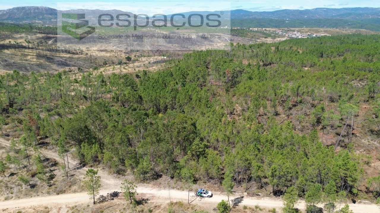 Terreno Agricola ou Rústico para Venda em Santo Andre das Tojeiras Foto 2