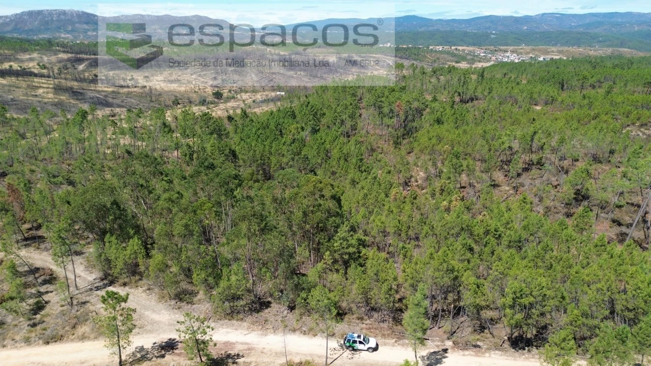 Terreno Agricola ou Rústico para Venda em Santo Andre das Tojeiras Foto 3