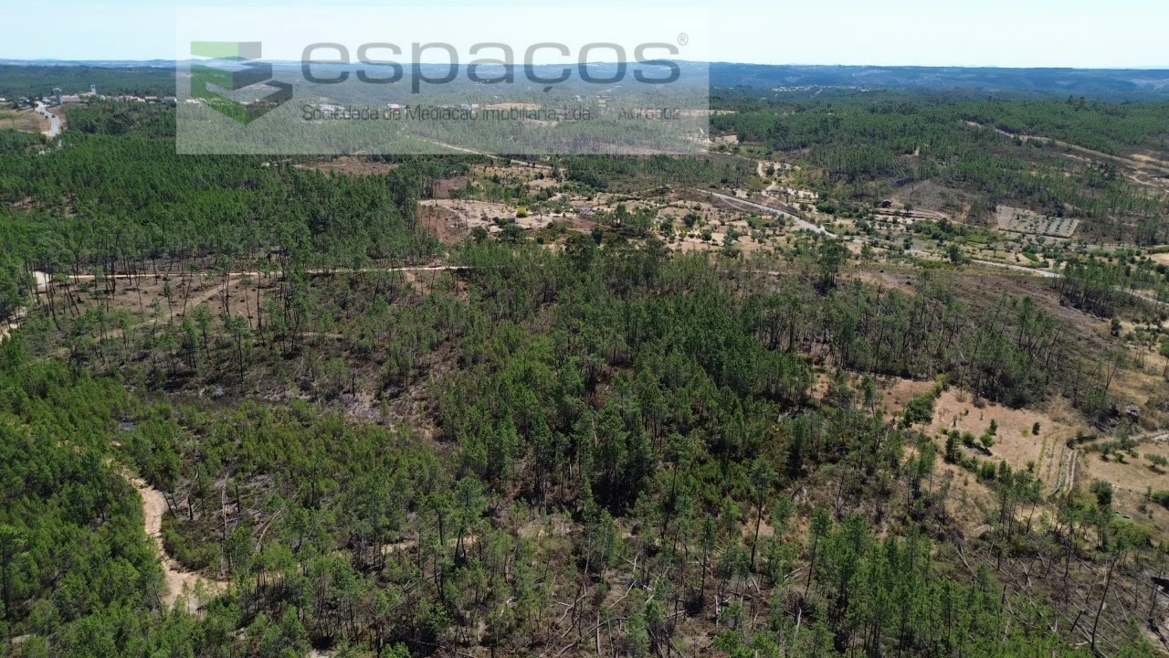 Terreno Agricola ou Rústico para Venda em Santo Andre das Tojeiras Foto 4
