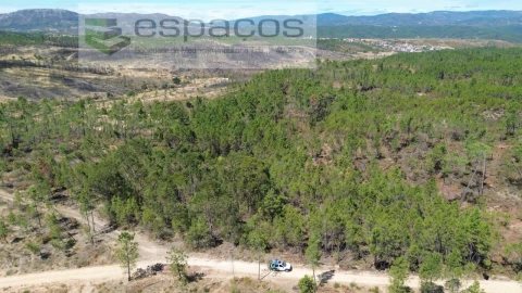 Terreno Agricola ou Rústico para Venda em Santo Andre das Tojeiras