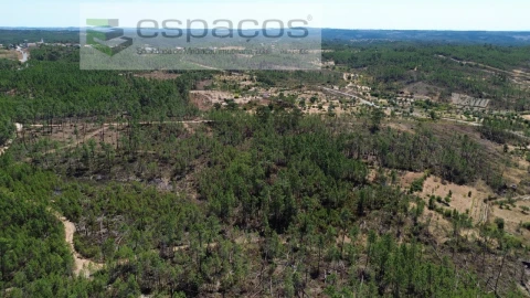 Terreno Agricola ou Rústico para Venda em Santo Andre das Tojeiras
