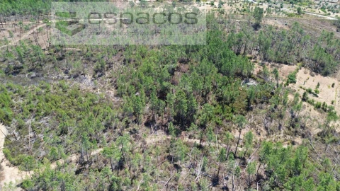 Terreno Agricola ou Rústico para Venda em Santo Andre das Tojeiras