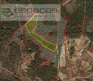 Terreno Agricola ou Rústico para Venda em Santo Andre das Tojeiras