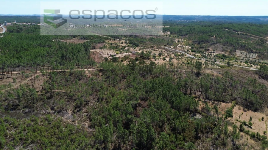 Terreno Agricola ou Rústico para Venda em Santo Andre das Tojeiras Foto 5