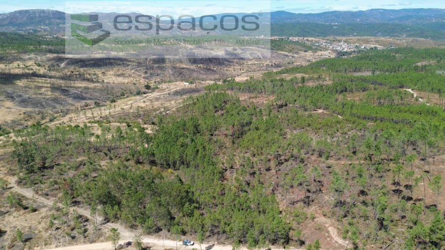 Terreno Agricola ou Rústico para Venda em Santo Andre das Tojeiras