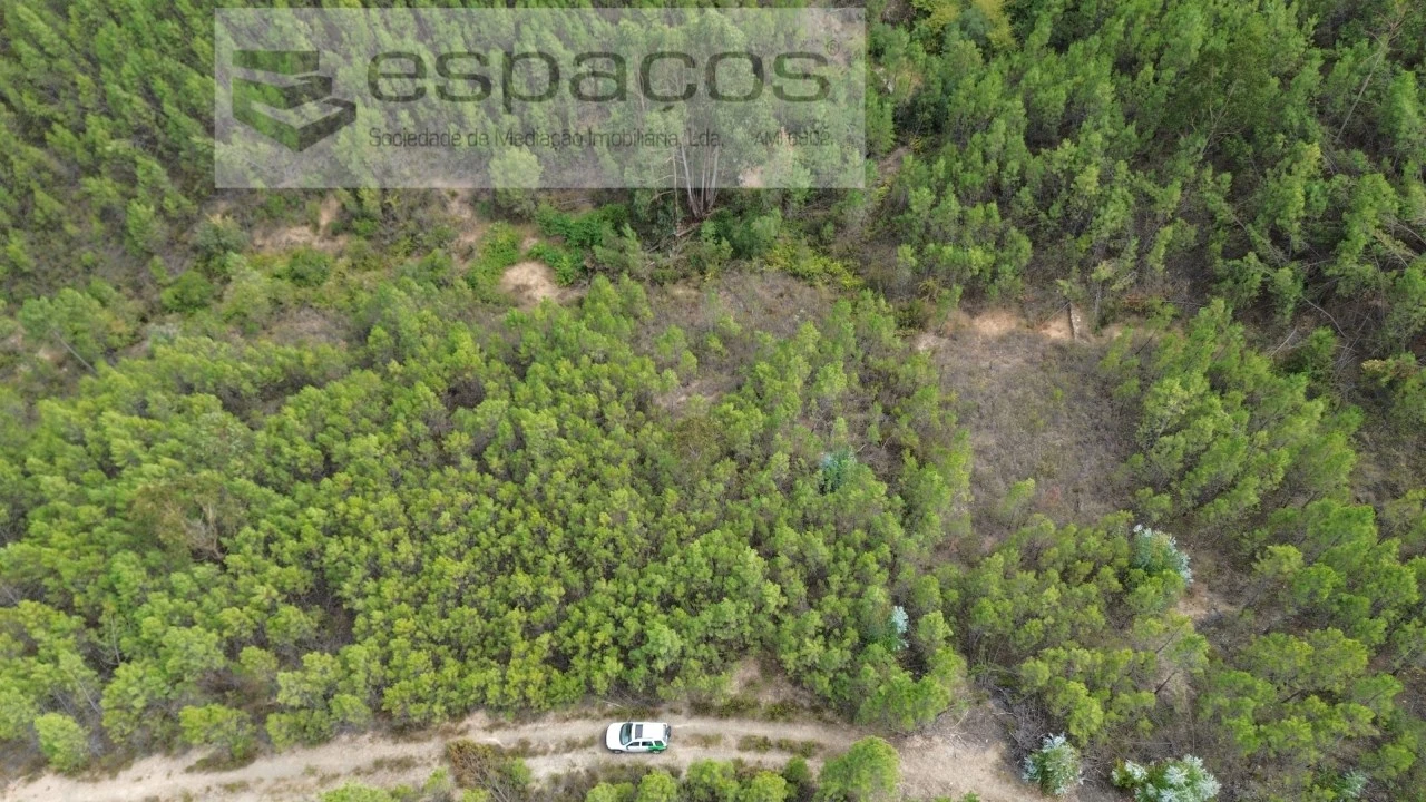 Terreno Agricola ou Rústico para Venda em Santo Andre das Tojeiras Foto 2
