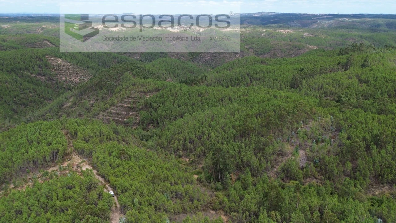 Terreno Agricola ou Rústico para Venda em Santo Andre das Tojeiras Foto 3