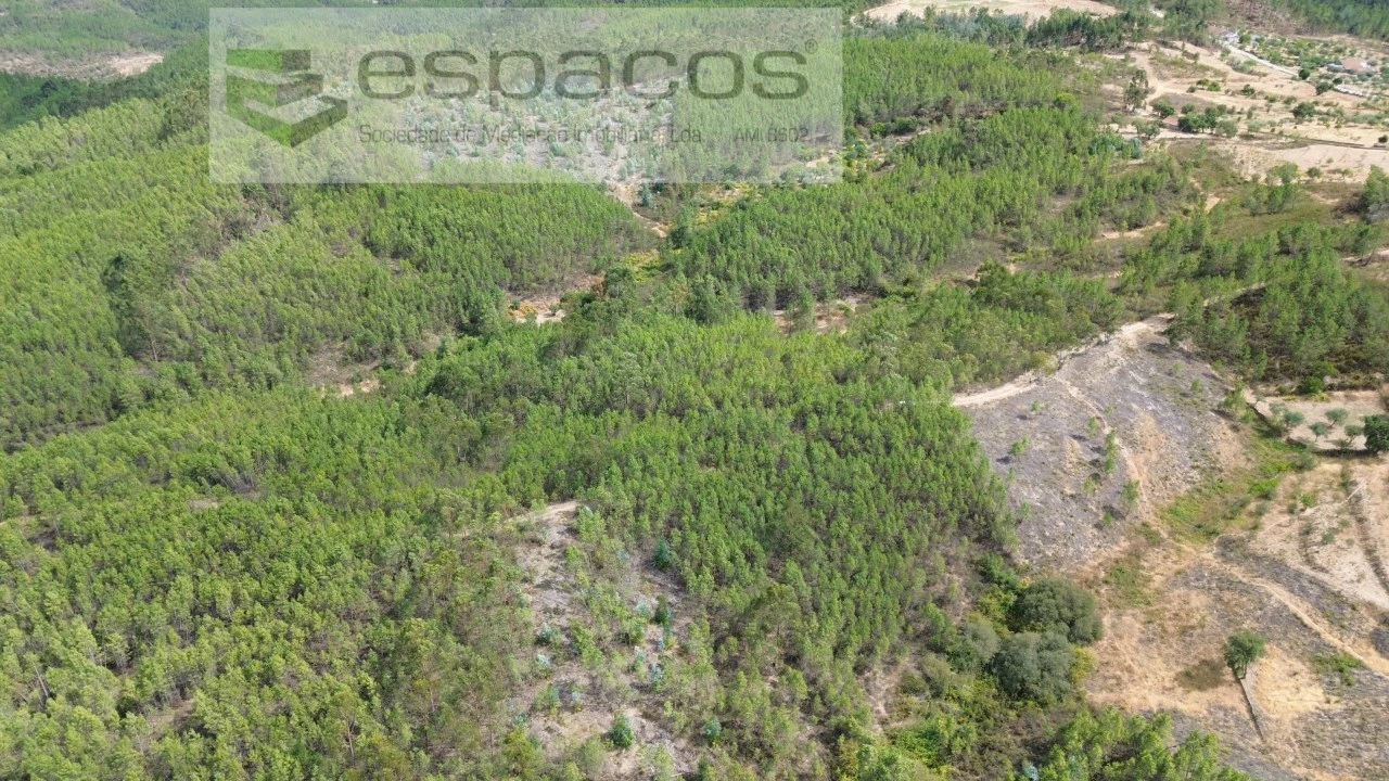 Terreno Agricola ou Rústico para Venda em Santo Andre das Tojeiras Foto 13