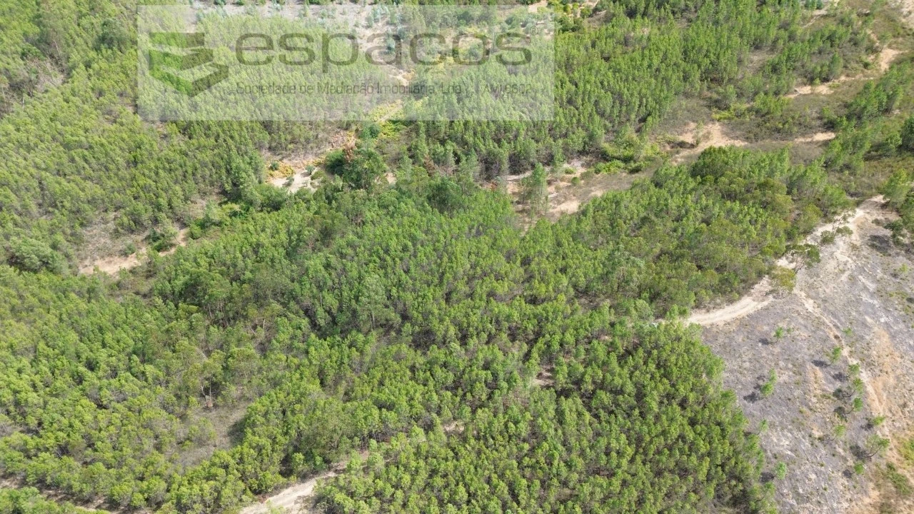 Terreno Agricola ou Rústico para Venda em Santo Andre das Tojeiras Foto 14