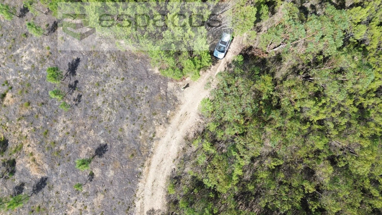 Terreno Agricola ou Rústico para Venda em Santo Andre das Tojeiras Foto 16
