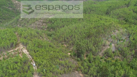Terreno Agricola ou Rústico para Venda em Santo Andre das Tojeiras
