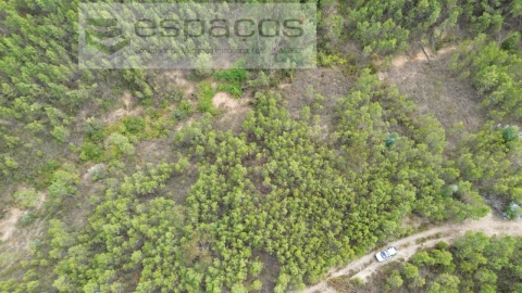 Terreno Agricola ou Rústico para Venda em Santo Andre das Tojeiras