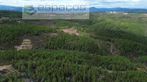 Terreno Agricola ou Rústico para Venda em Santo Andre das Tojeiras