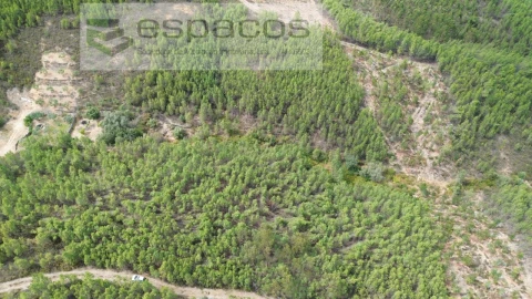 Terreno Agricola ou Rústico para Venda em Santo Andre das Tojeiras
