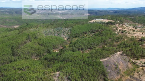 Terreno Agricola ou Rústico para Venda em Santo Andre das Tojeiras