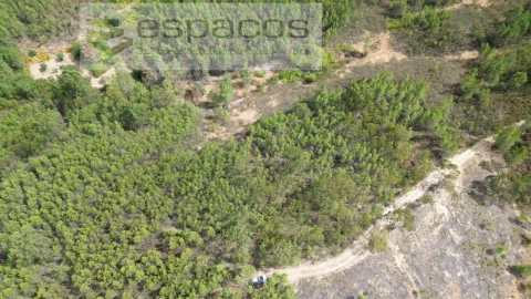 Terreno Agricola ou Rústico para Venda em Santo Andre das Tojeiras