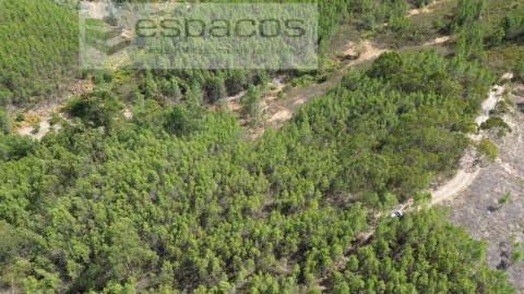 Terreno Agricola ou Rústico para Venda em Santo Andre das Tojeiras