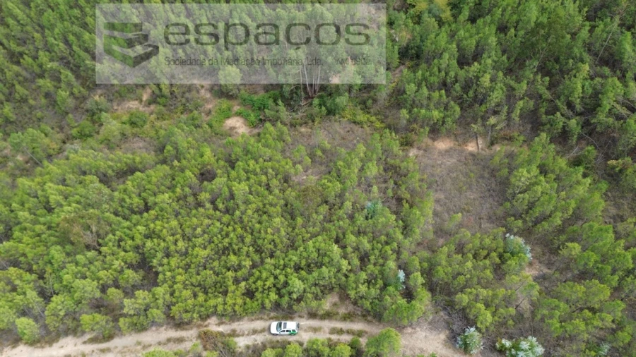 Terreno Agricola ou Rústico para Venda em Santo Andre das Tojeiras Foto 2