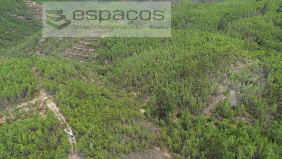 Terreno Agricola ou Rústico para Venda em Santo Andre das Tojeiras Foto 4